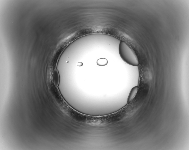 X0000084580740200703161740