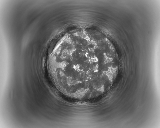 X0000084580742200703161740