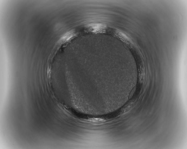 X0000084580748200703161740