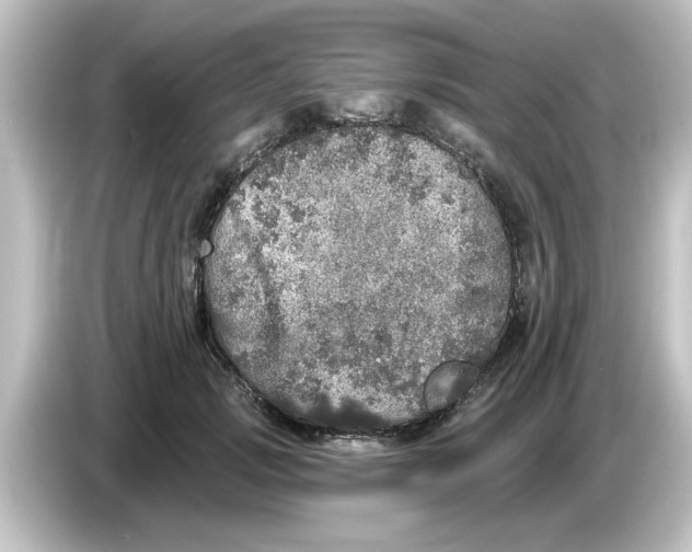 X0000084580749200703161740