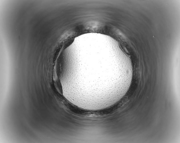X0000084580750200703161740