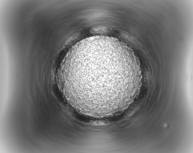 X0000084580751200703161740