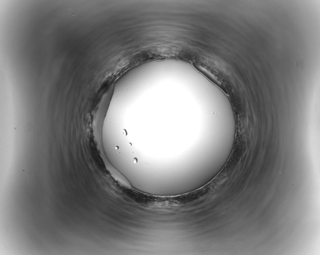 X0000084580752200703161740