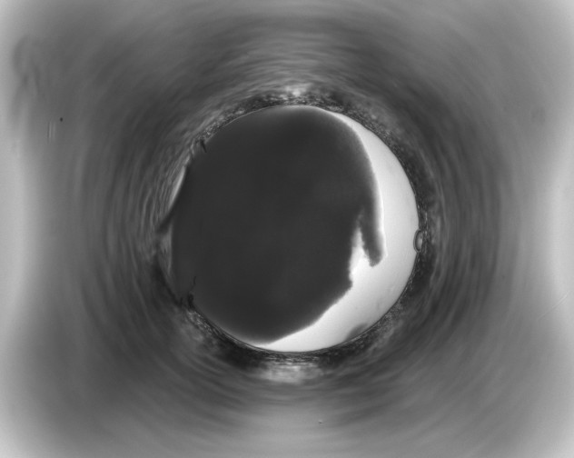 X0000084580754200703161740