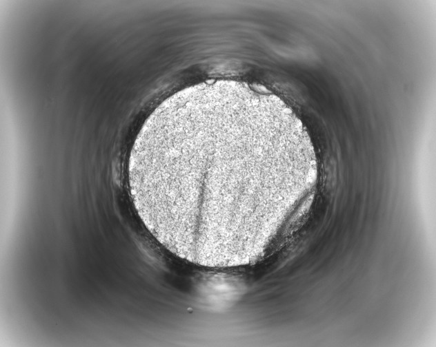 X0000084580755200703161740