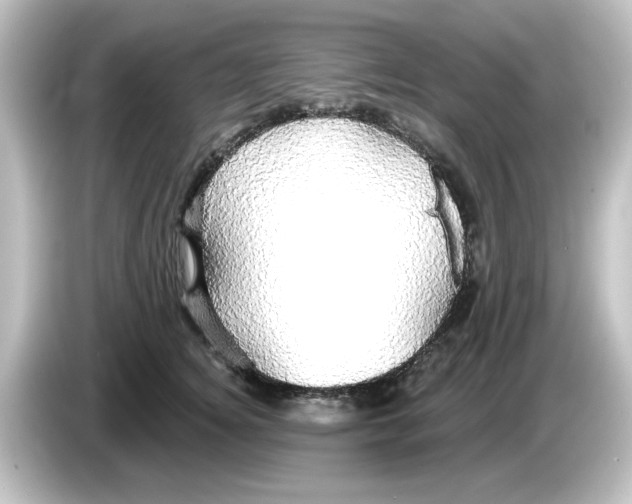X0000084580756200703161740