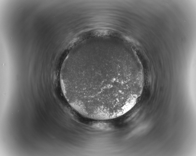 X0000084580759200703161740