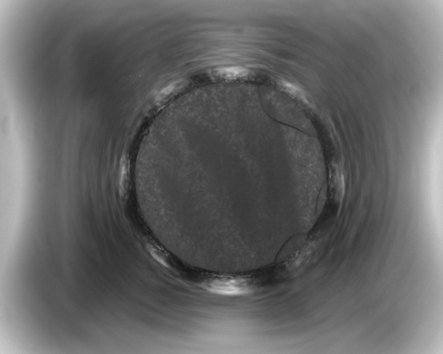 X0000084580760200703161741
