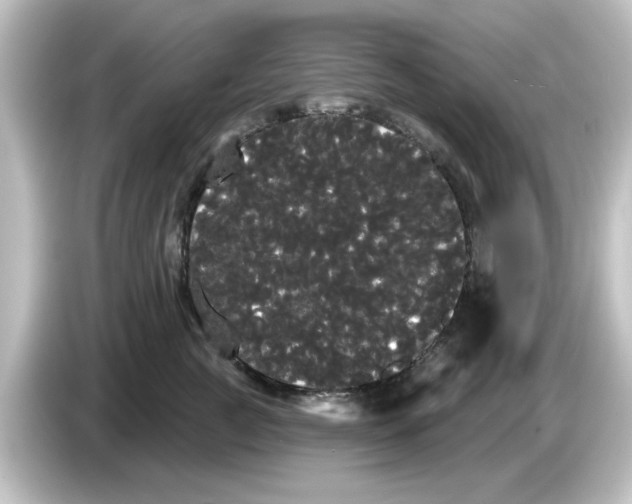 X0000084580761200703161741