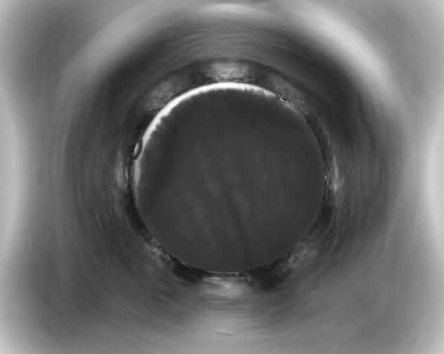 X0000084580763200703161741
