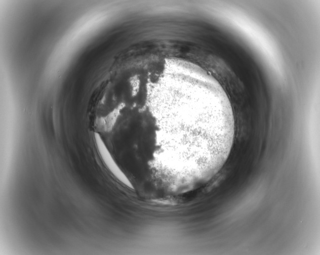 X0000084580765200703161741
