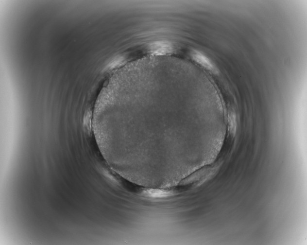 X0000084580766200703161741