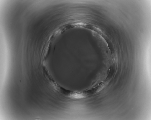 X0000084580767200703161741