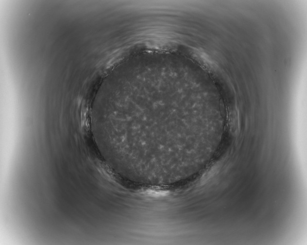 X0000084580770200703161740