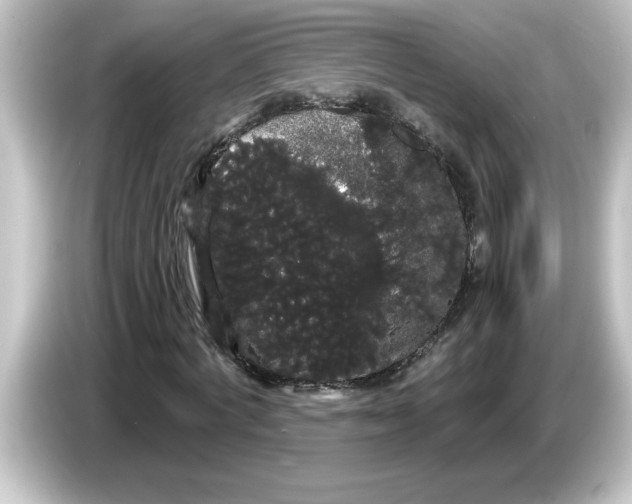 X0000084580772200703161740