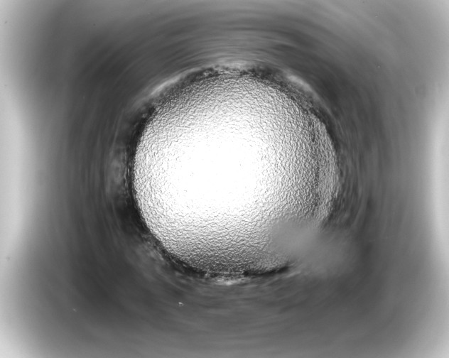 X0000084580773200703161740