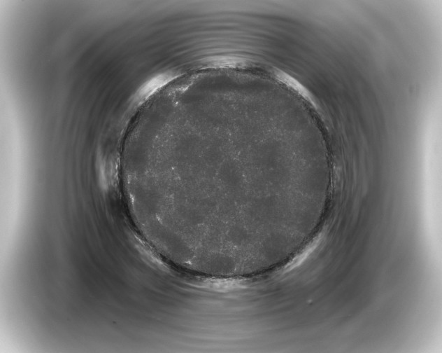X0000084580778200703161740