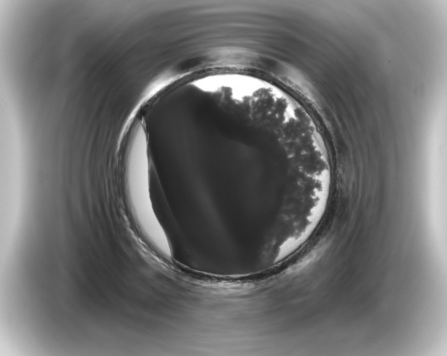X0000084580779200703161740