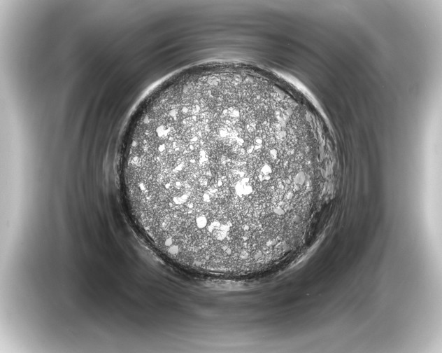 X0000084580783200703161740