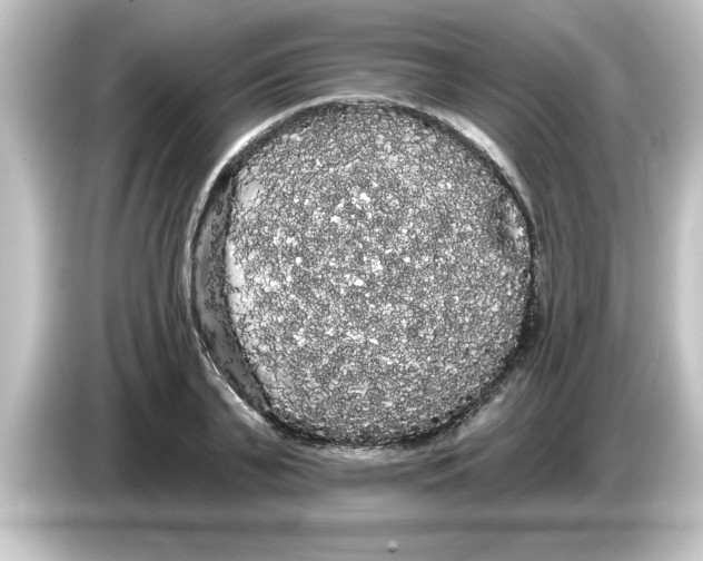 X0000084580791200703161740