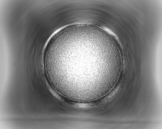 X0000084580792200703161740