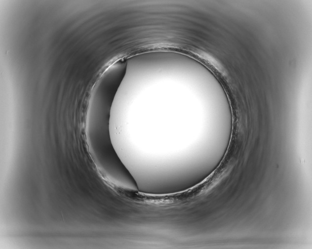 X0000084580793200703161740