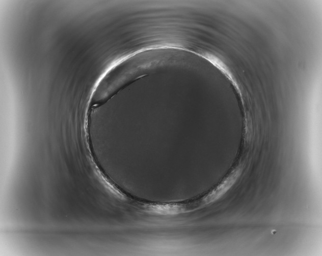 X0000084580797200703161740