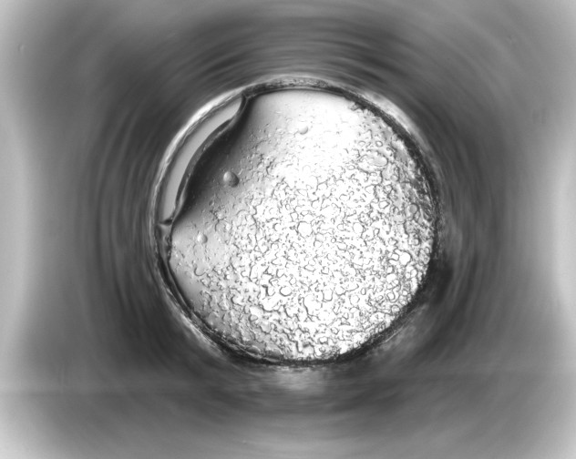 X0000084580799200703161740