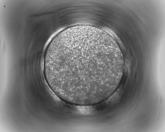 X0000084580804200703161740
