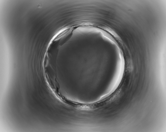 X0000084580806200703161739