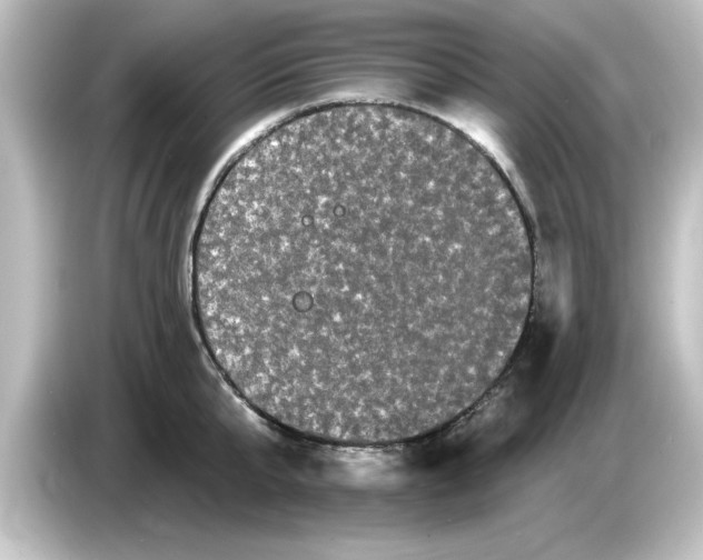 X0000084580807200703161739