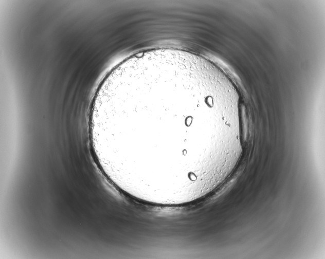 X0000084580808200703161739