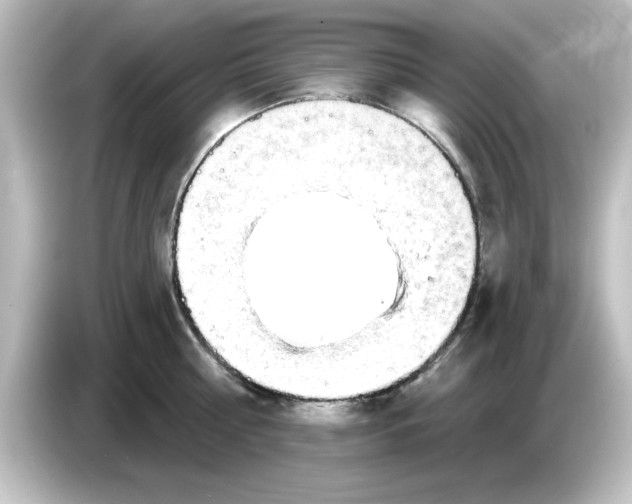 X0000084580810200703161739