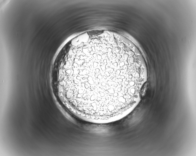 X0000084580811200703161739