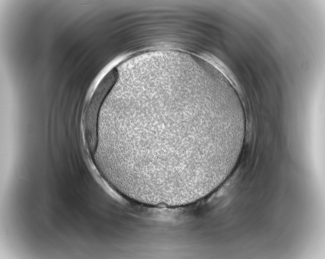X0000084580812200703161739
