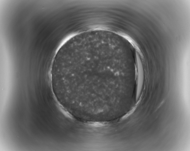 X0000084580814200703161739
