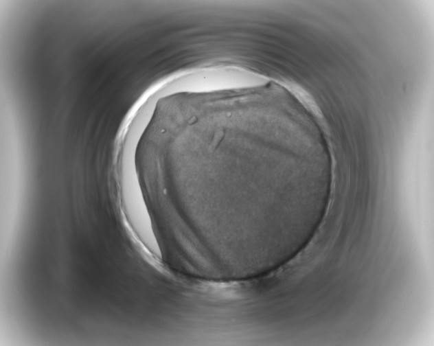 X0000084580816200703161739