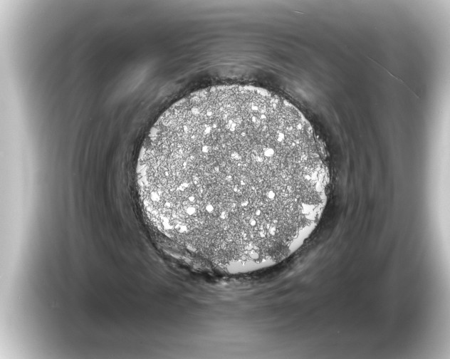 X0000084580817200703161739