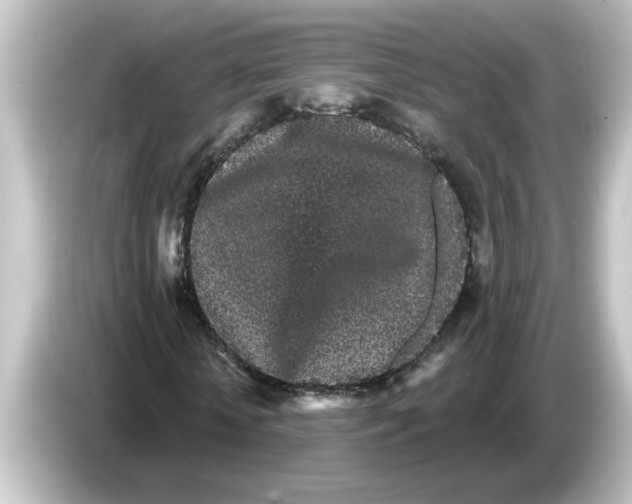 X0000084580818200703161739