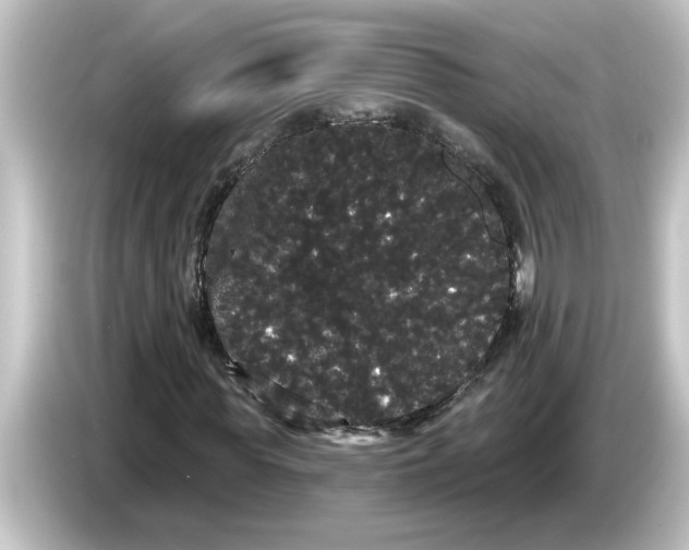 X0000084580819200703161739