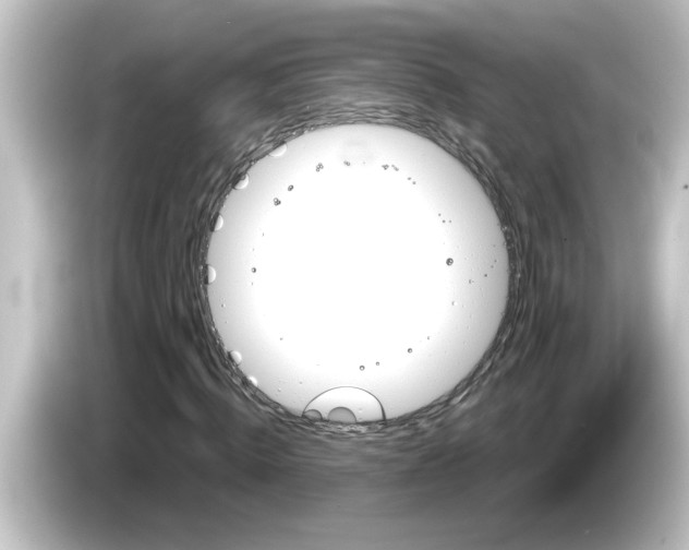 X0000084580820200703161739