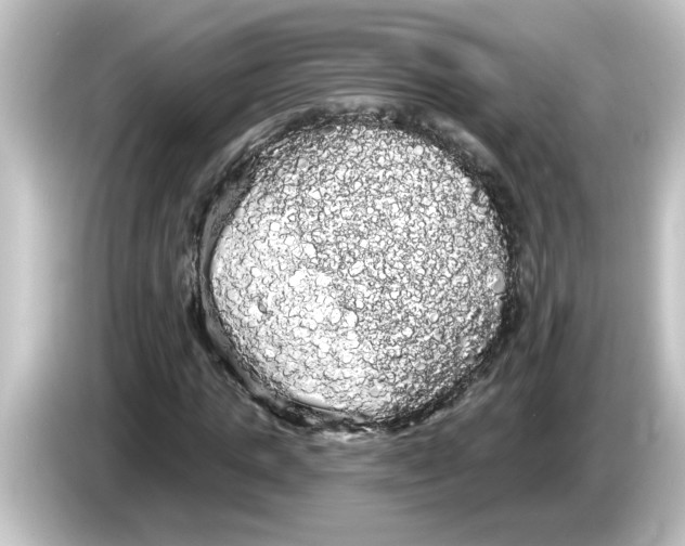 X0000084580821200703161739