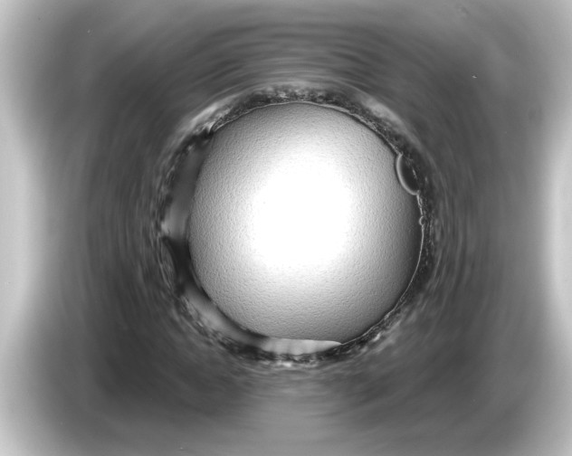 X0000084580822200703161739