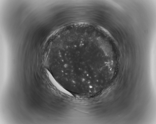 X0000084580823200703161739