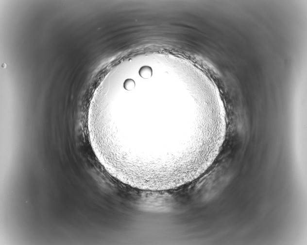 X0000084580824200703161739