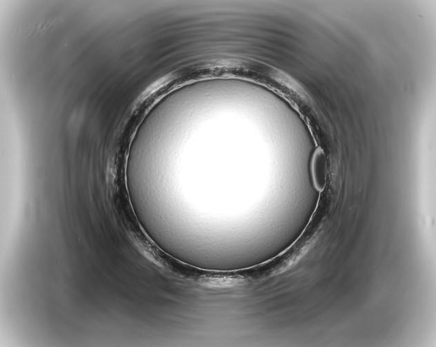 X0000084580826200703161739
