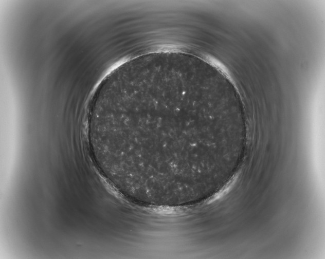 X0000084580827200703161739