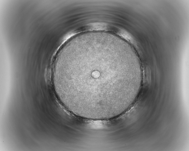X0000084580828200703161739