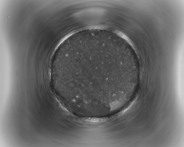 X0000084580829200703161739