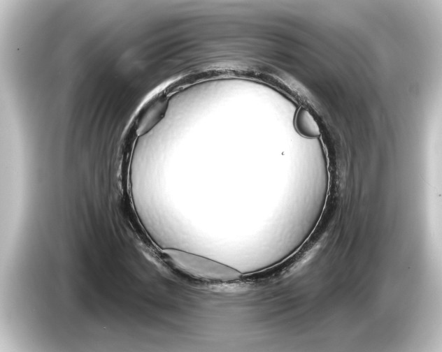 X0000084580830200703161739